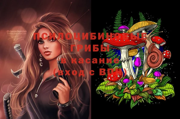 jwh Медногорск