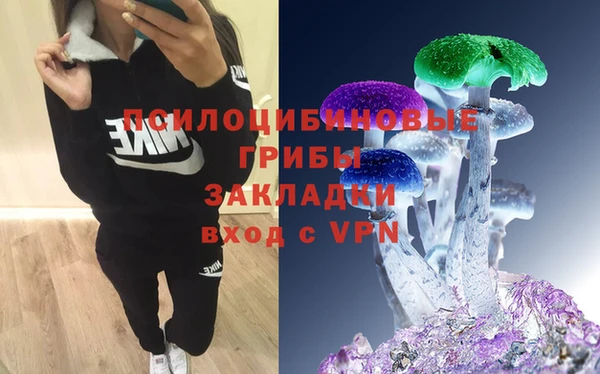 ешки Мегион