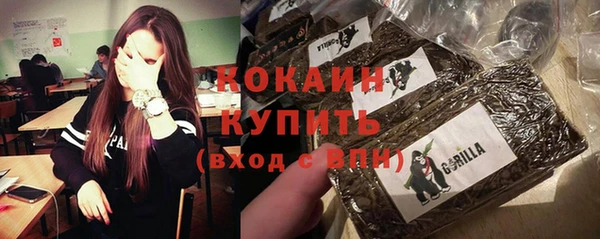 ешки Мегион